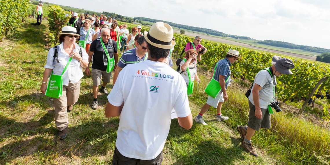 Saumur-Champigny, Vins ouverts d'esprit - Vignes vins randos