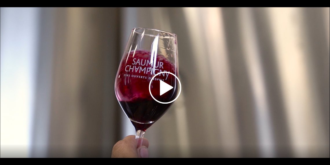 Saumur-Champigny's vineyard